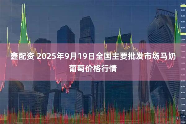 鑫配资 2025年9月19日全国主要批发市场马奶葡萄价格行情
