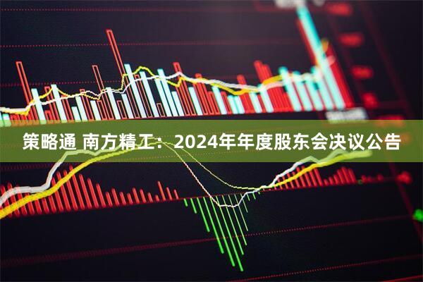 策略通 南方精工：2024年年度股东会决议公告