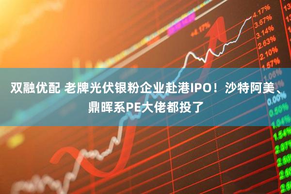 双融优配 老牌光伏银粉企业赴港IPO！沙特阿美、鼎晖系PE大佬都投了