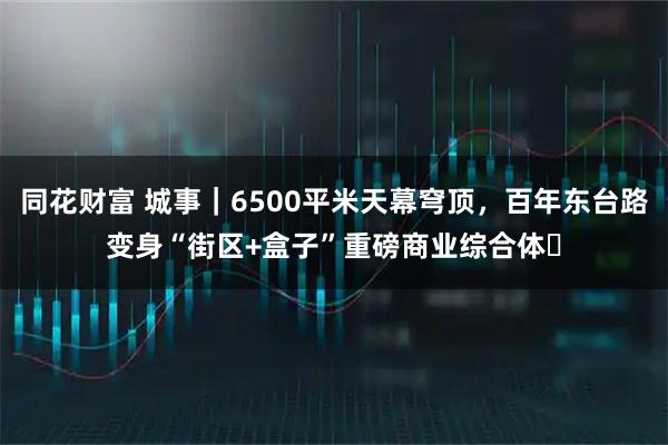 同花财富 城事｜6500平米天幕穹顶，百年东台路变身“街区+盒子”重磅商业综合体​