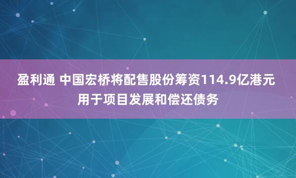 盈利通 中国宏桥将配售股份筹资114.9亿港元 用于项目发展和偿还债务