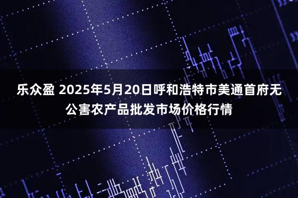 乐众盈 2025年5月20日呼和浩特市美通首府无公害农产品批发市场价格行情