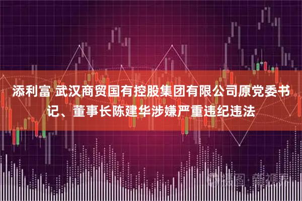 添利富 武汉商贸国有控股集团有限公司原党委书记、董事长陈建华涉嫌严重违纪违法
