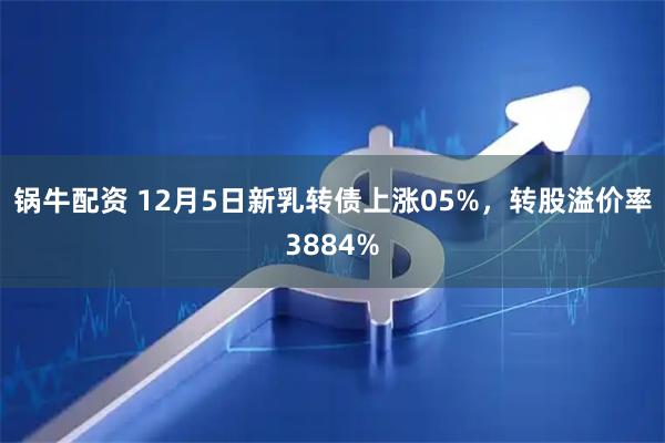 锅牛配资 12月5日新乳转债上涨05%，转股溢价率3884%