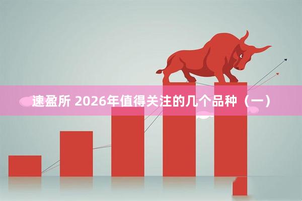 速盈所 2026年值得关注的几个品种（一）