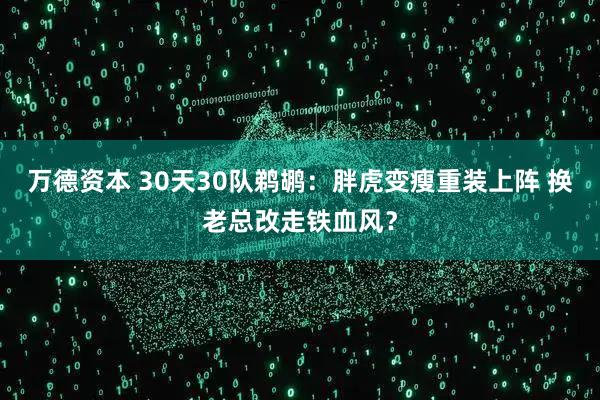 万德资本 30天30队鹈鹕：胖虎变瘦重装上阵 换老总改走铁血风？