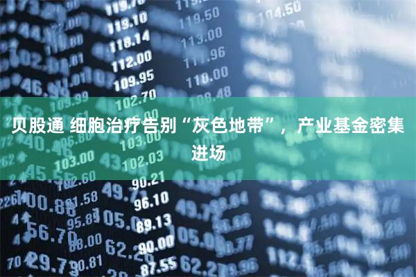 贝股通 细胞治疗告别“灰色地带”，产业基金密集进场